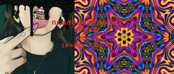 PSILOCYBIN Инсар
