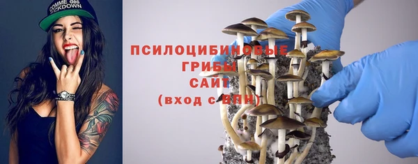 герыч Каменногорск