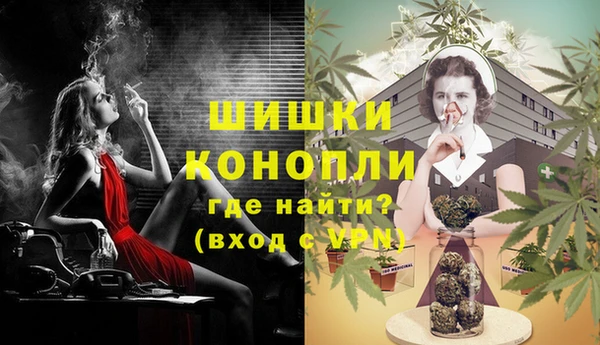 прущие крисы Инта