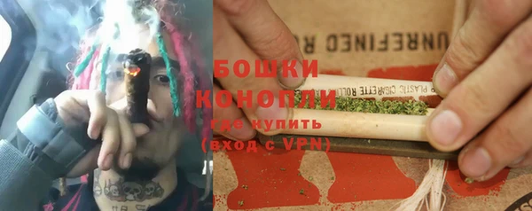 PSILOCYBIN Инсар