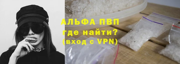 PSILOCYBIN Инсар
