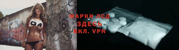 PSILOCYBIN Инсар