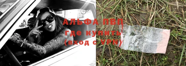 прущие крисы Инта