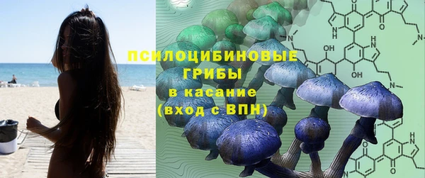 PSILOCYBIN Инсар