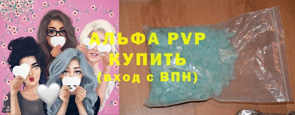 PSILOCYBIN Инсар