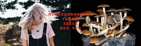 jwh Иннополис